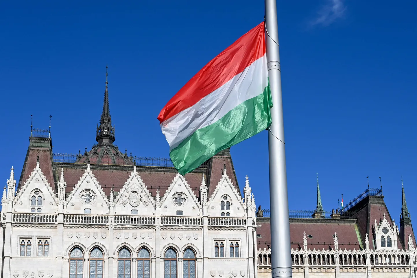 Eesti Instituudi esindus Ungaris pani veebruari lõpus uksed kinni.