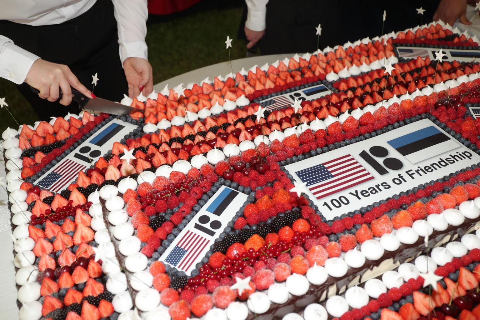 Eesti-USA suhete 100. aastapäeva tähistamise puhuks valminud tort.