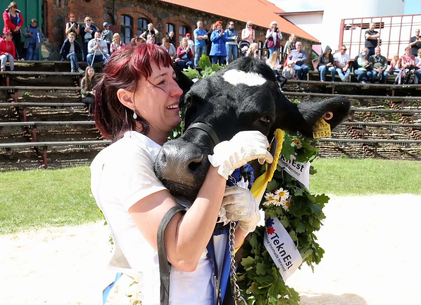 Kauneima piimalehma valimise konkursi VISS 2019. Pildil tiitli võitnud Põlva Agro OÜ lehm Mara ja tema perenaine Kadri Treffner.