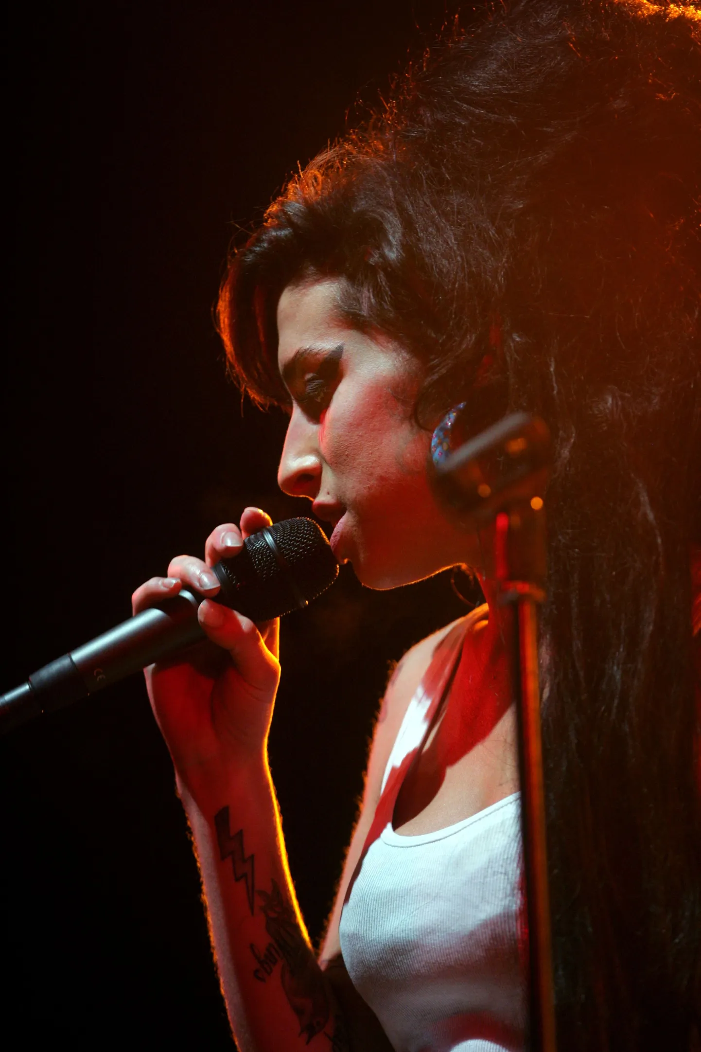 Amy Winehouse 2007. aastal