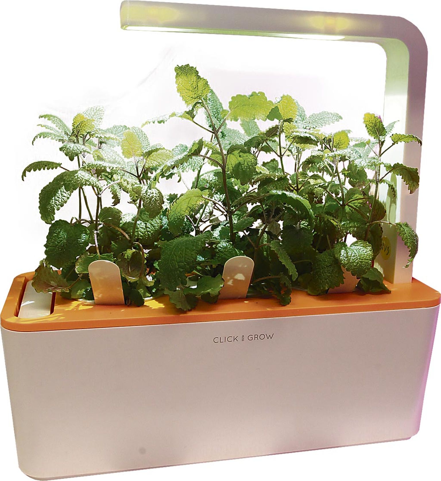 Click & Grow toode