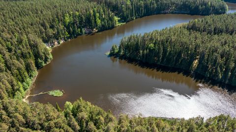 Retked avavad looduse hoidmise telgitaguseid