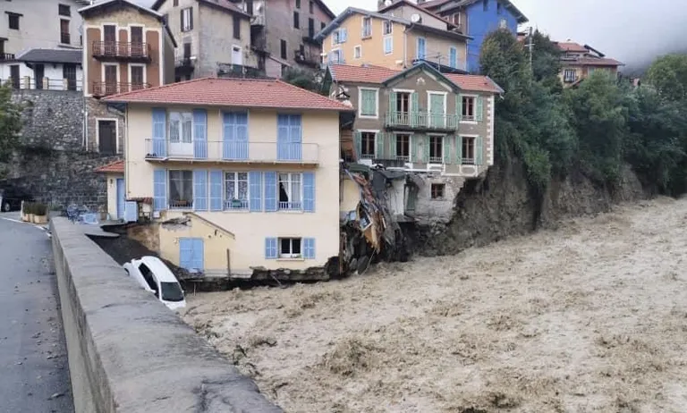 Artikli foto