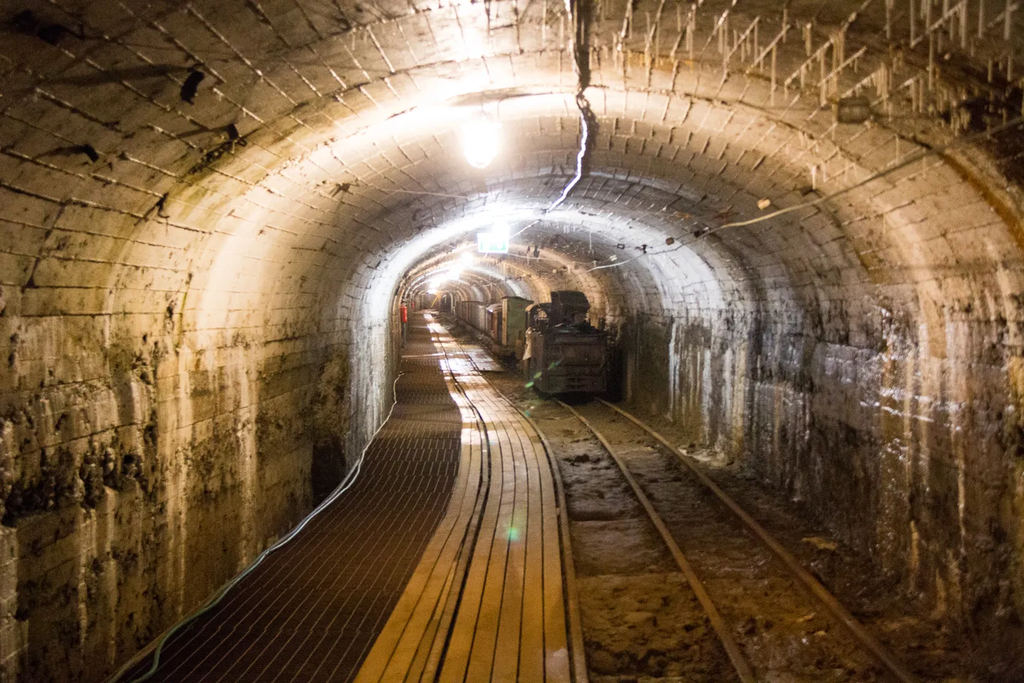 TTÜ geoloogia instituudi teadur Rutt Hints reastas hinnalisemad kaevandatavad maavarad.