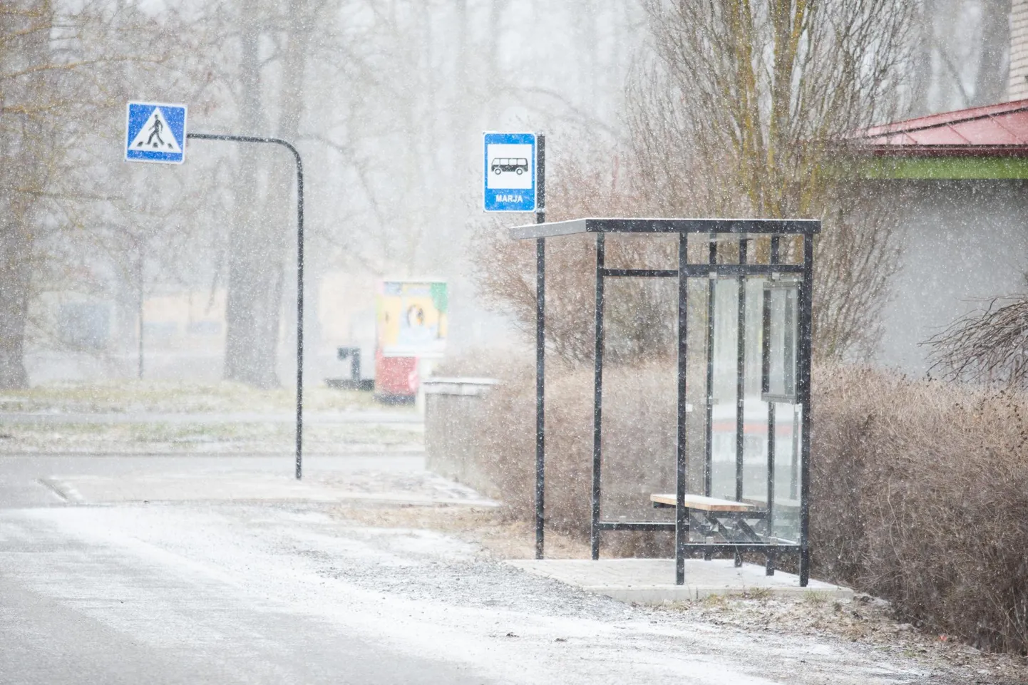 Marja tänavale rajatud bussipeatus ootab paremaid aegu.