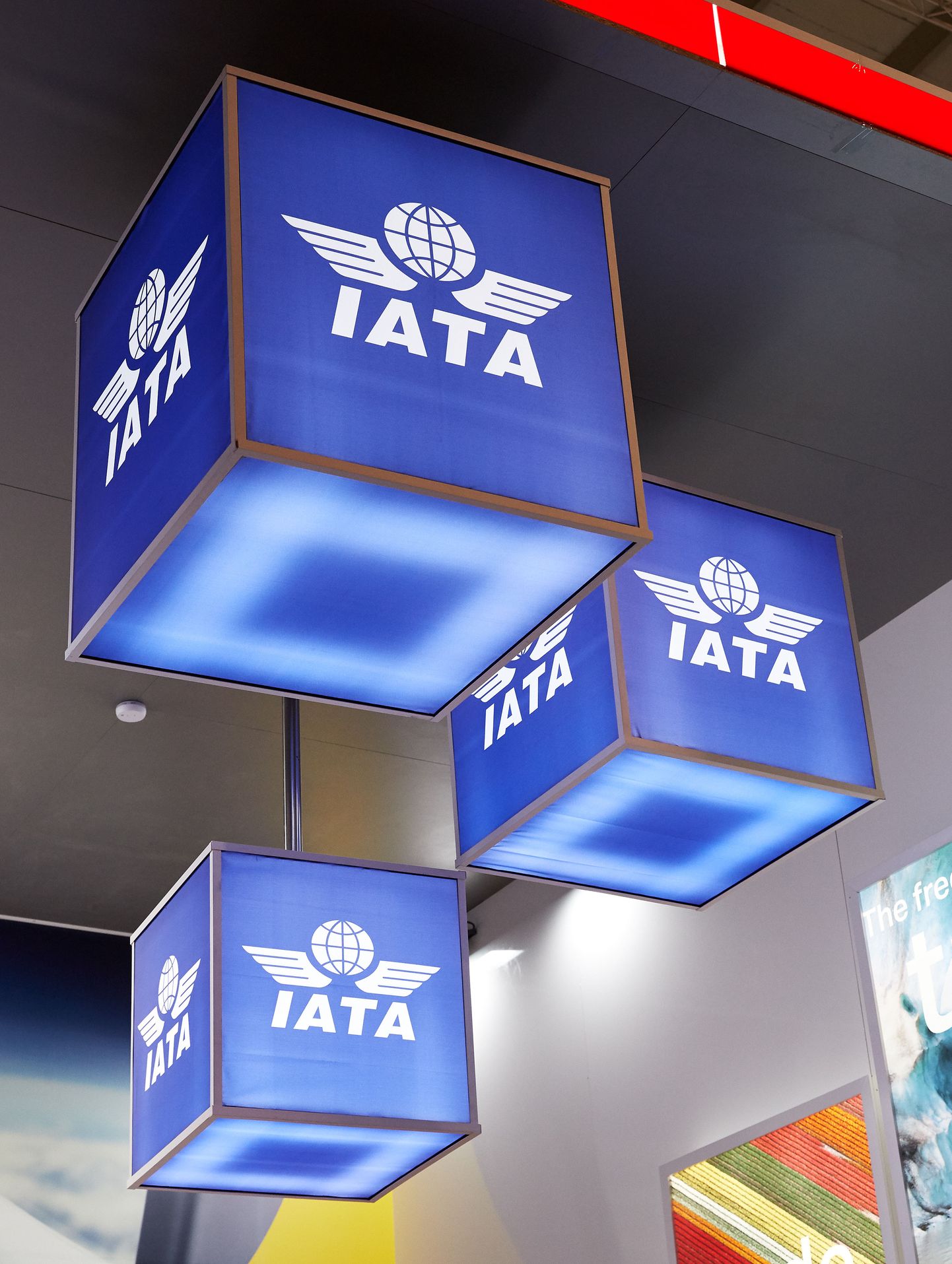 IATA logo.