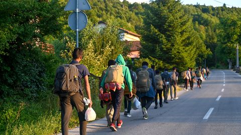 Pujāts: Izteikti redzama nelegālās migrācijas plūsmu koriģēšana atbilstoši iekšpolitiskajiem procesiem