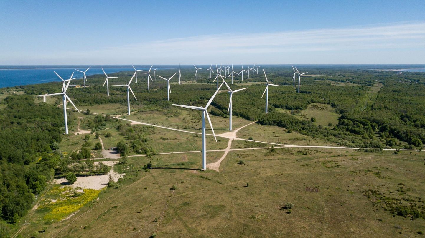Enefit Greeni tütarettevõtte Nelja Energia tuulepark Paldiskis.