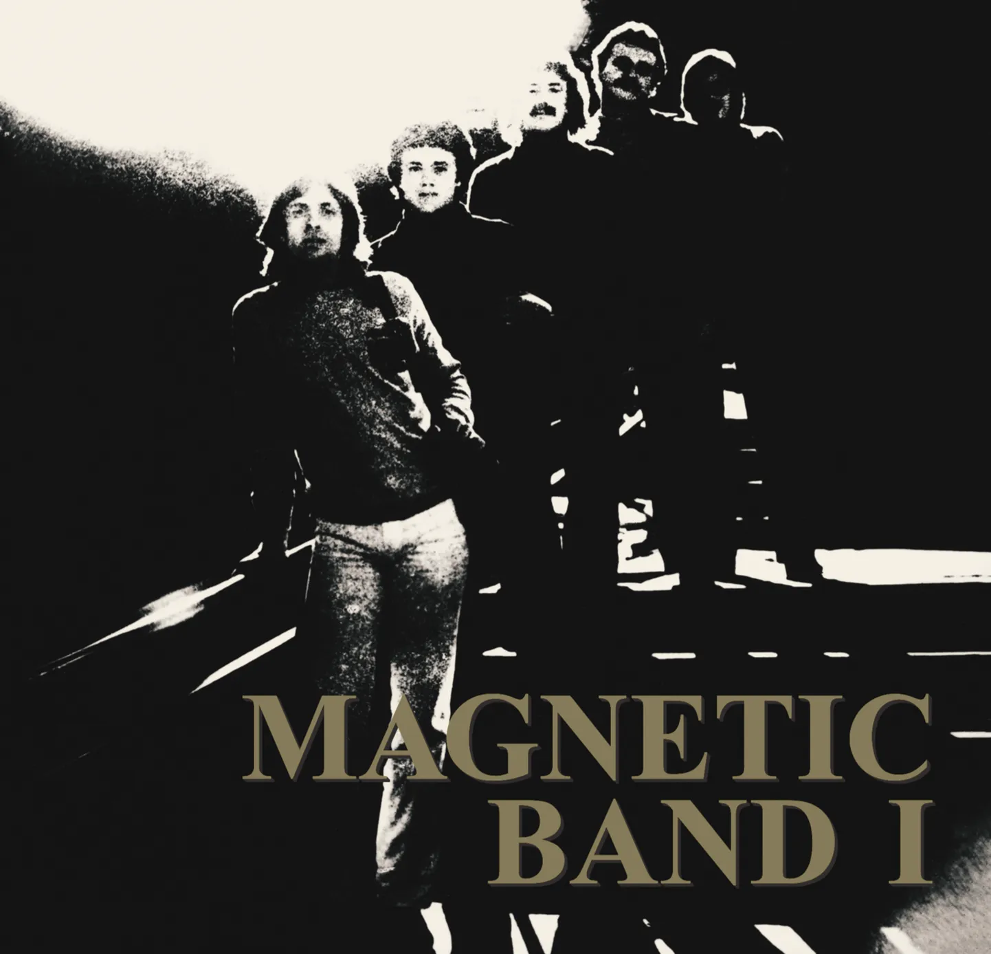 Magnetic Band