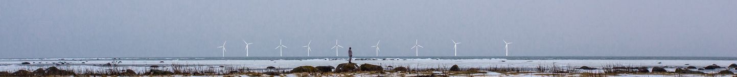 Kalle Kruusi täpsustatud fotomontaaž peaks kujutama Hiiumaa Pikasääre rannikust 12 km kaugusel olevaid tuulikud, kuid ekspertide sõnul kujutab see tuulikuid, mis jäävad rannikust 2-6 kilomeetri kaugusele.