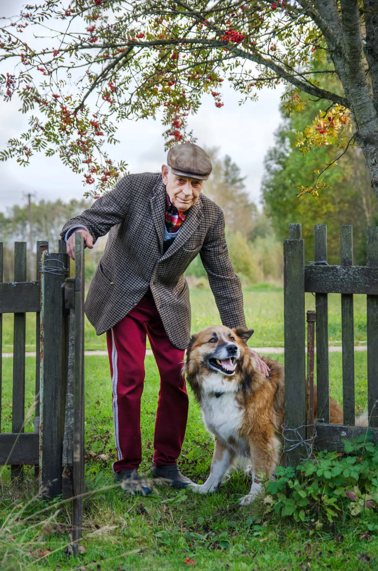 Varjupaikade MTÜ kalendri tarbeks pildistatud foto Gustavist ja Valdurist.