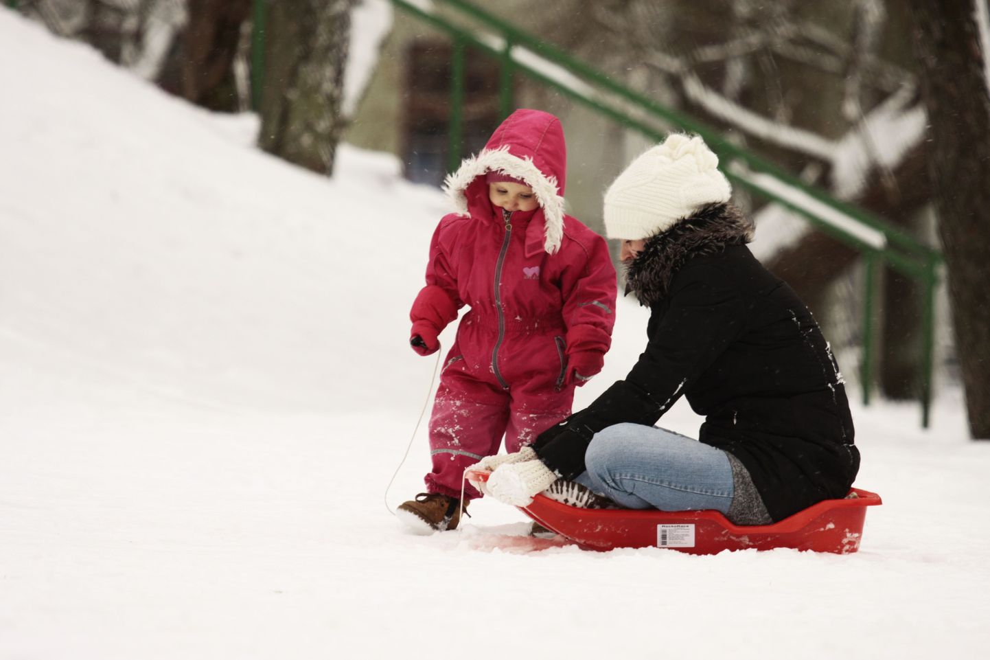 Isegi vanemad tahavad lumest rõõmu tunda ja kelgutada.