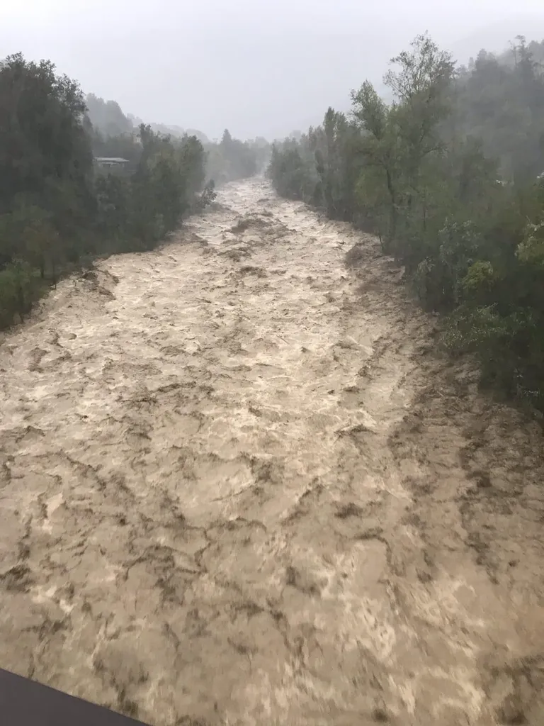 Artikli foto