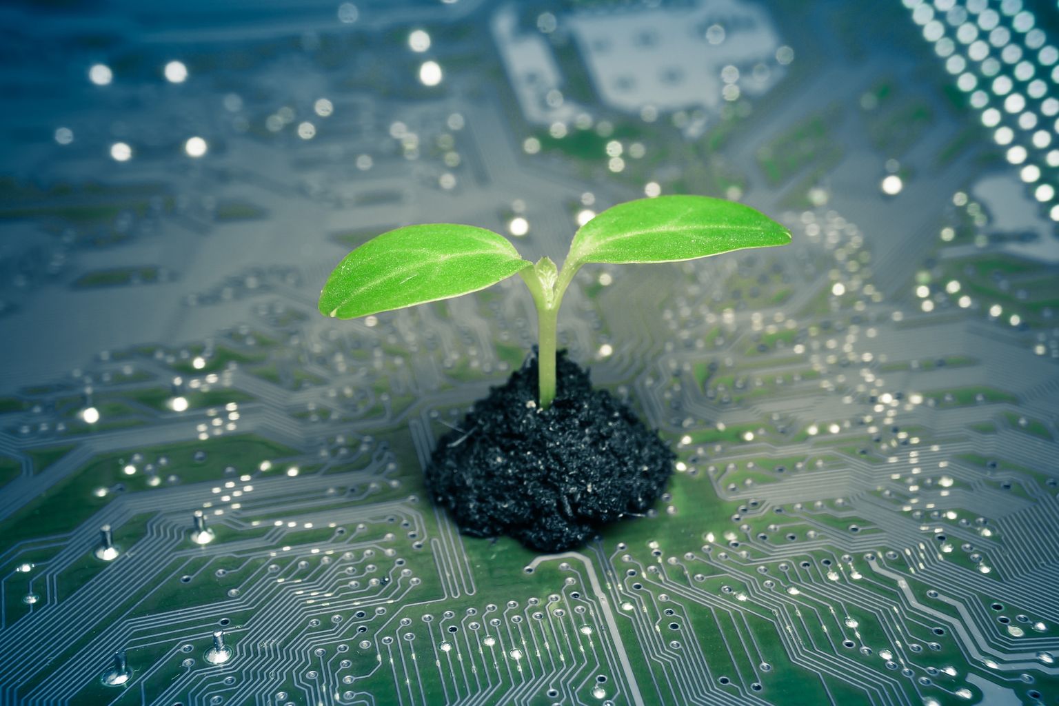 Uus nanotehnoloogia võimaldab meil paremini taimede sisemaailma mõista