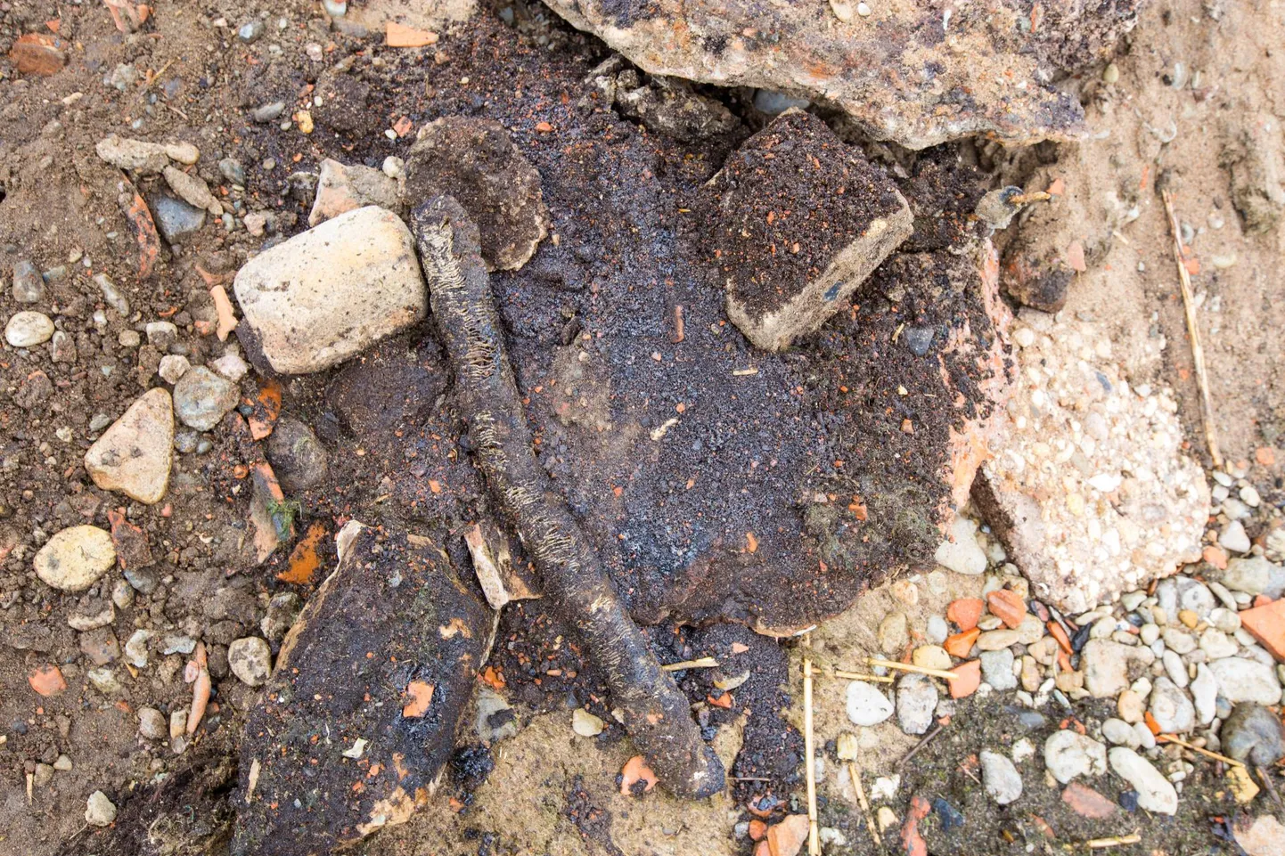 Naftareostus Aseris.