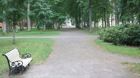 Таллиннцев призывают поучаствовать в обновлении популярного парка