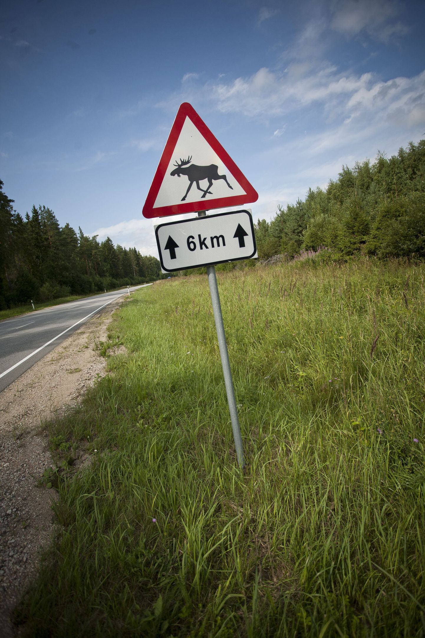 Дорожный знак "Дикие животные".