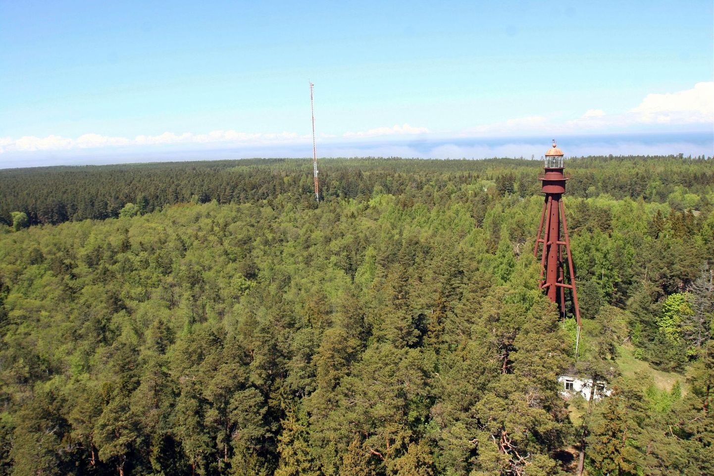 Vaade Ruhnu piirivalvetornist metsasele saarele.
