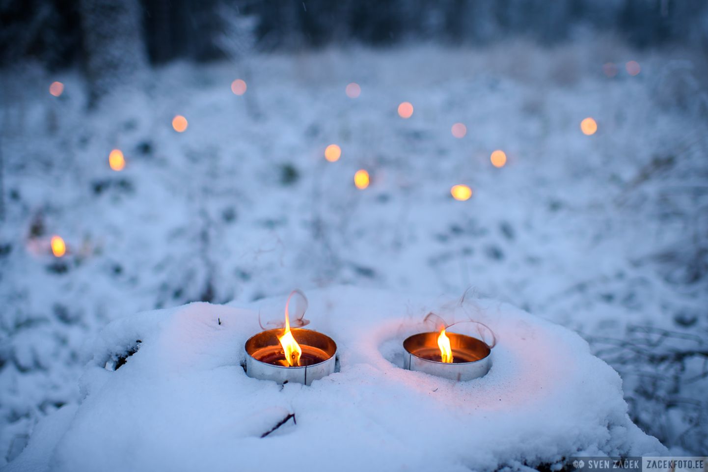 Kodanikualgatus „Tuled KAH metsa!“ kutsus inimesi 26. detsembril süütama küünlaid lagedaks raiutud riigimetsa lankidel.
