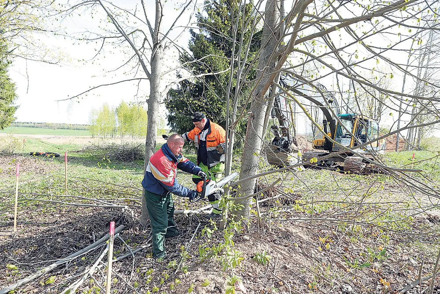 Puhja aleviku Tartu-poolses otsas alustas Elva Kommunaal Grupp teisipäeval Puhjast Kiigemäeni viiva kergliiklustee rajamist. Eile hommikul tegid Kuldar Grünvald (vasakul) ja Meelis Taavitsa võsast platsi puhtaks tee algusse rajatavale väiksele parklale.