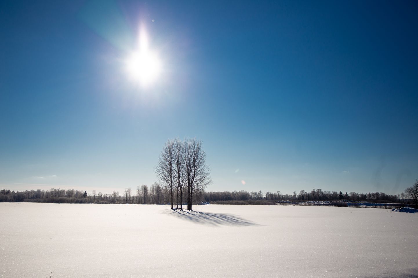 Ilmateenistuse prognoosi järgi tuleb neljapäeval kuni 15 kraadi külma.