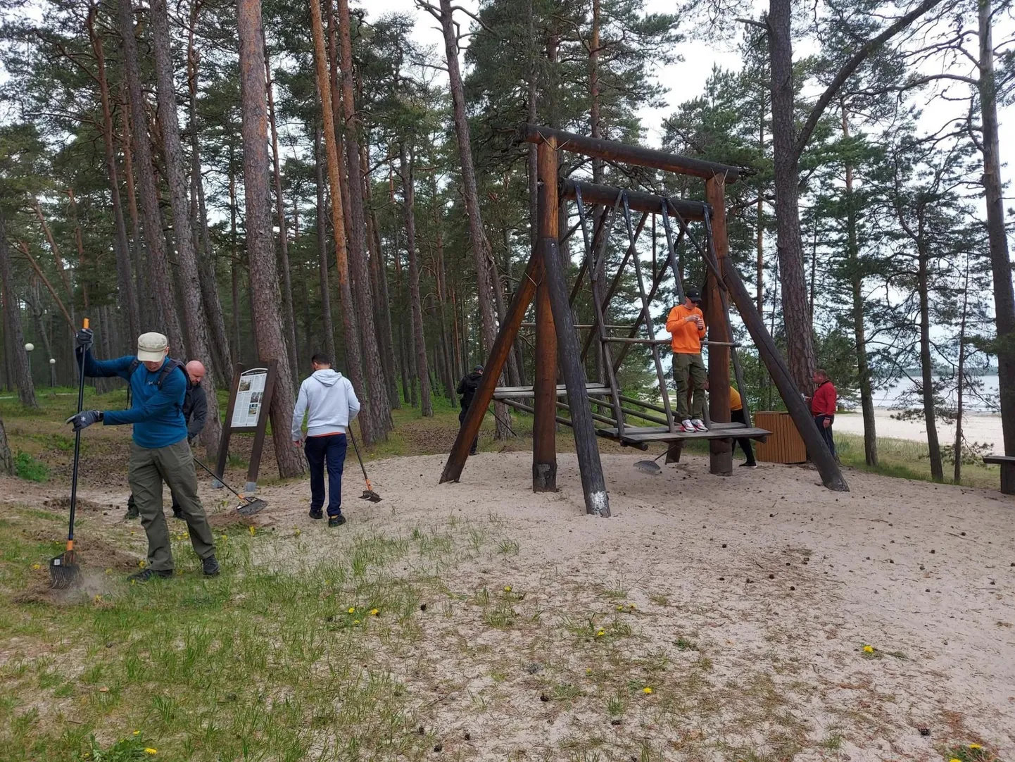 Swedbanki IT-tiim ja Võsu Külaselts korraldasid Võsul talgupäeva.