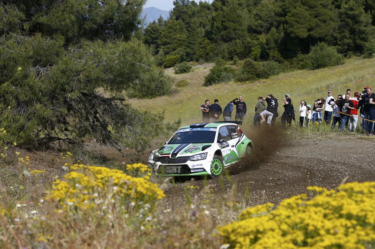 Ralfs Sirmacis-Arturs Šimins (Skoda Fabia R5)