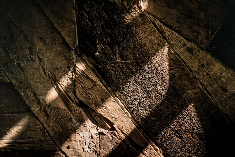 Raksta foto