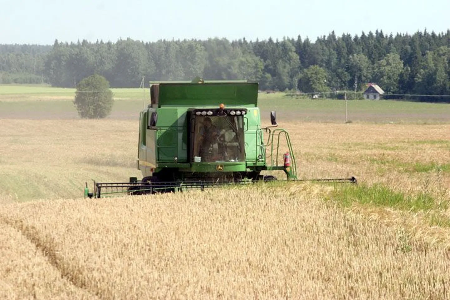 Põllumajandussektoris tegutsevate ettevõtete kasum kasvas teises kvartalis mullusega võrreldes.