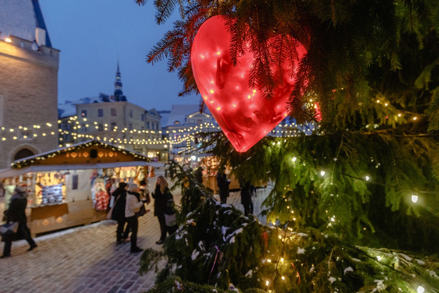 Tallinn, 20.12.2018, 
Raekoja platsi jõulupuu.

Tallinn Christmas Market, christmas tree
Foto: Konstantin Sednev / Eesti Meedia