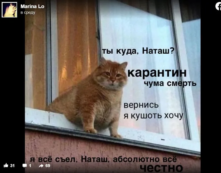 Фото статьи