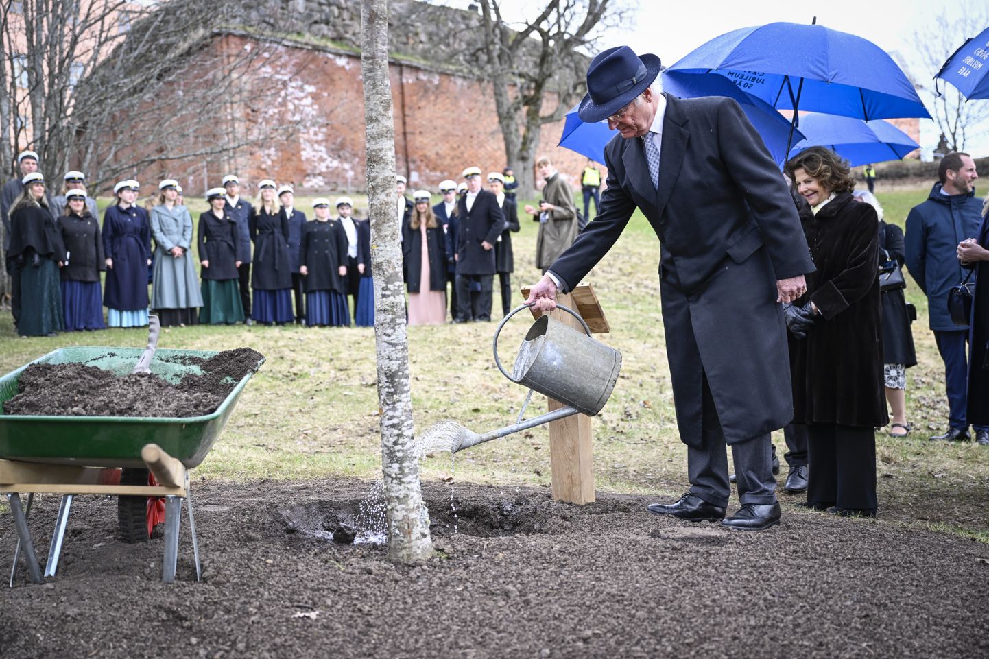 Kuningas Carl XVI Gustaf istutamas puud, mis järgmise päeva hommikuks maha murti.