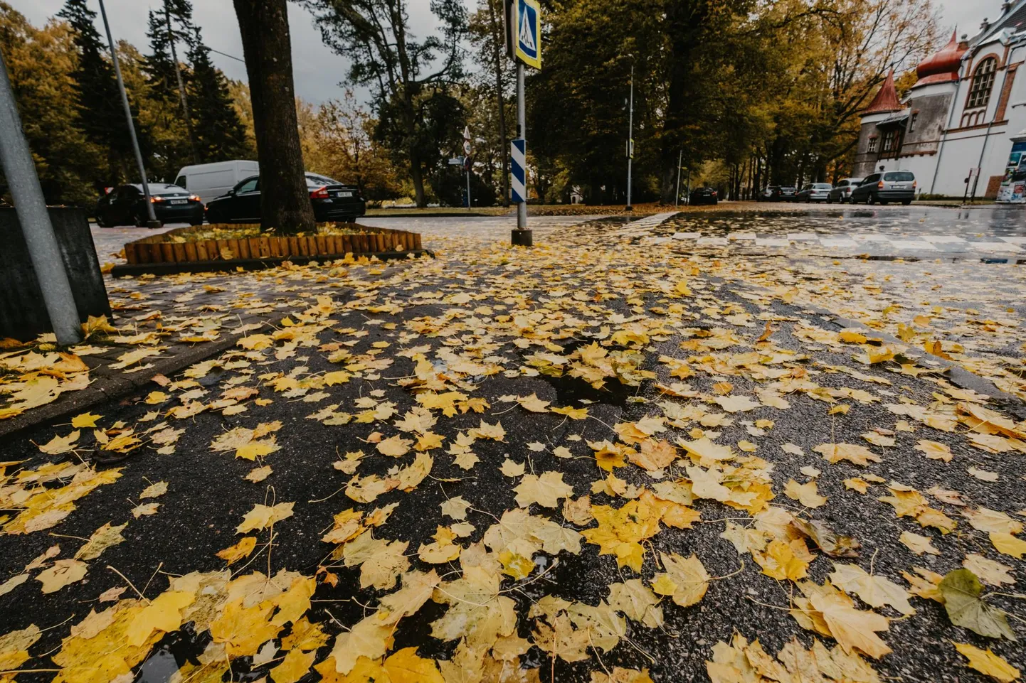 Ilm läheb järjest rohkem sügise nägu.