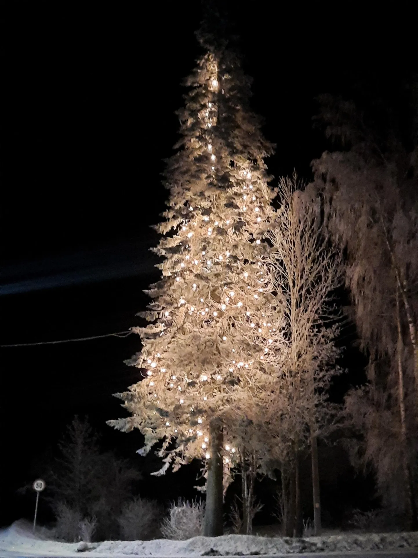 Jõulupuu ei pea olema värvilisi kulinaid täis.