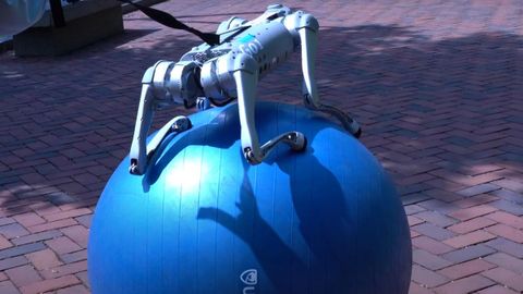 VAATA VIDEO ⟩ Robotkoer turnib pallil nagu osavaim tsirkusartist