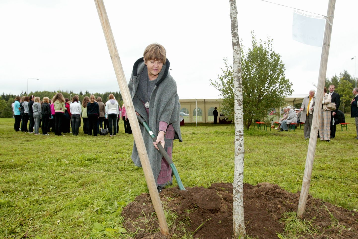 Vaike Uibopuu valiti 2008. aastal Tartu aukodanikuks ning istutas sel puhul Tartu tammikusse oma tamme.