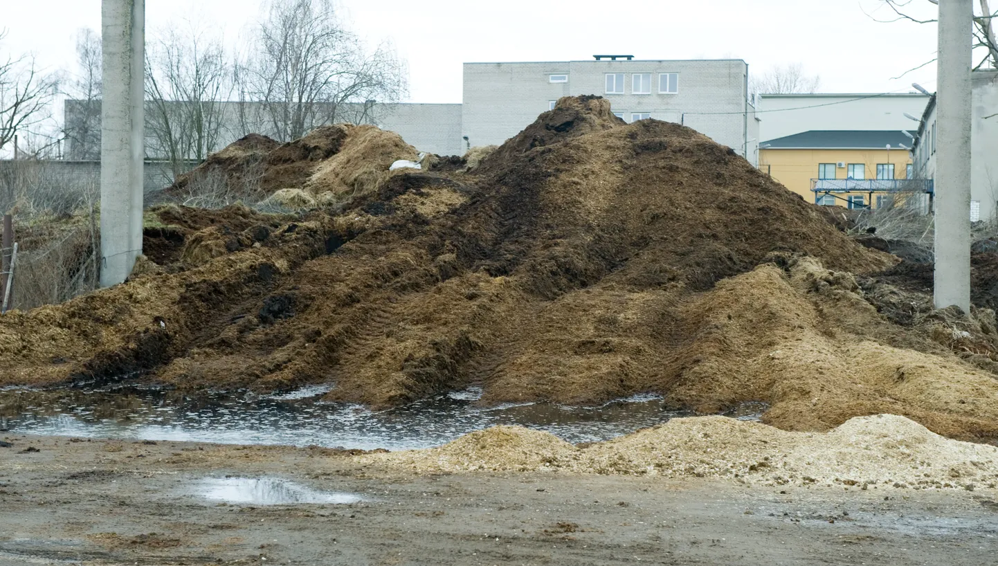 Sõnnikuhunnik.