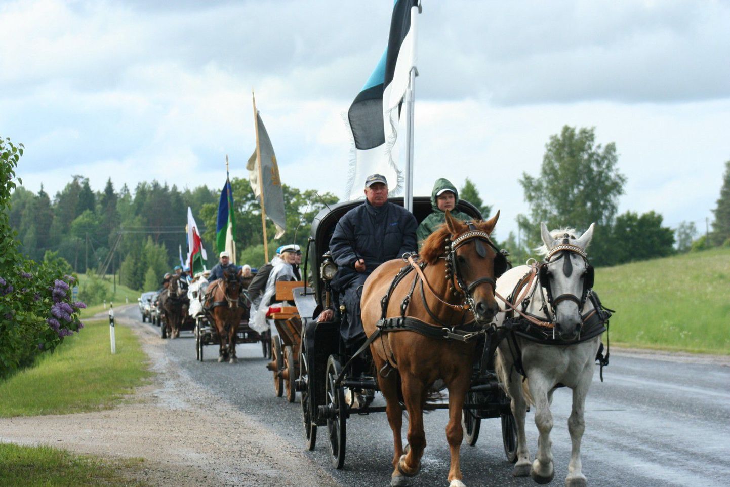 Lipurongkäik Eesti lipu 129.aastapäeval.