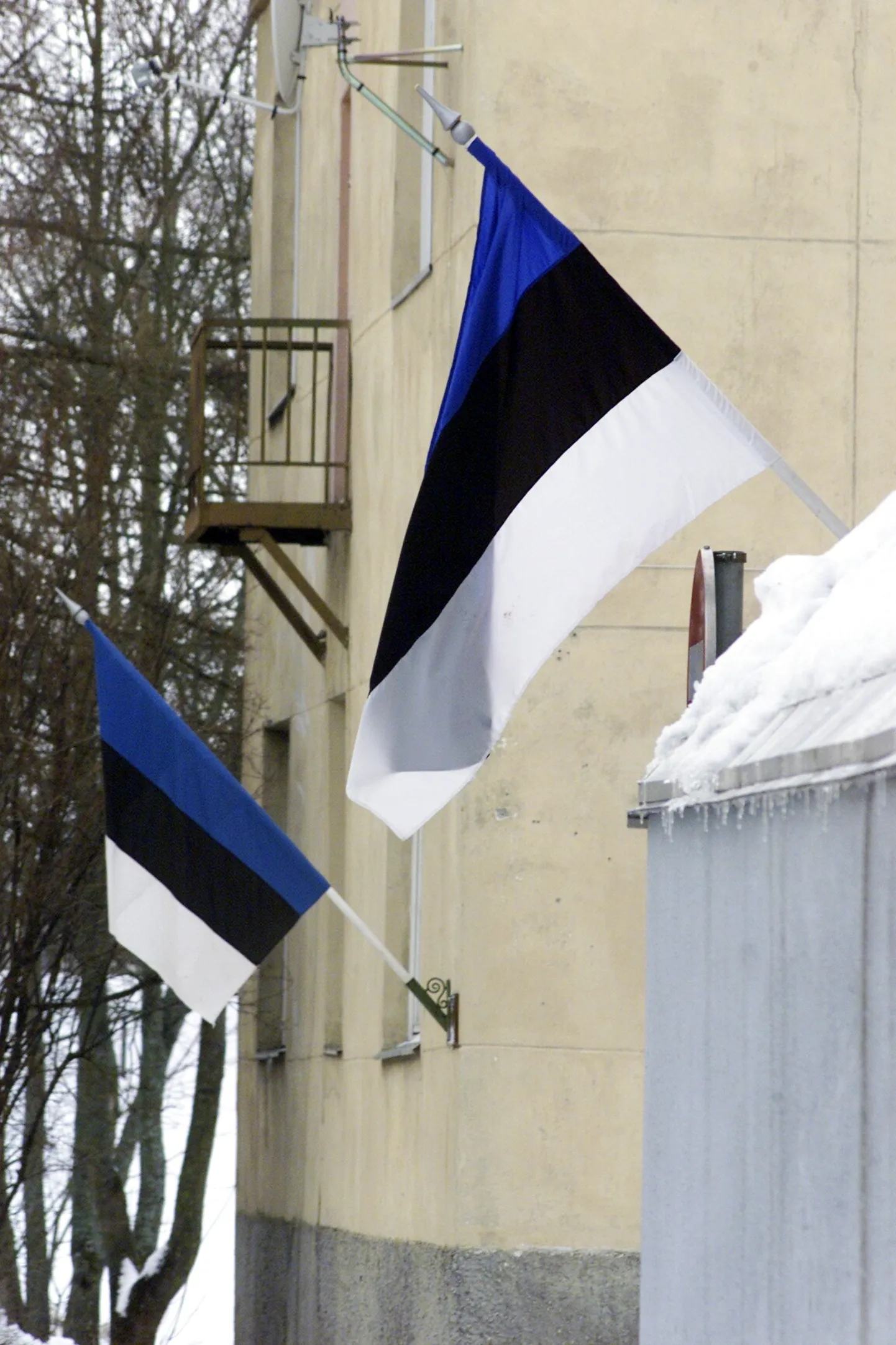 Poliitikud ja erakonnad võiksid rahval lasta rahulikult oma riigi juubelit tähistada.