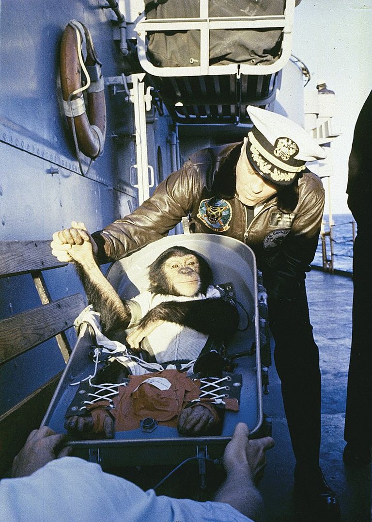 Pirmais hominīds kosmosā - šimpanze Hems.