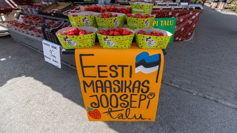 Не пропустите ⟩ На рынке появилась первая эстонская клубника