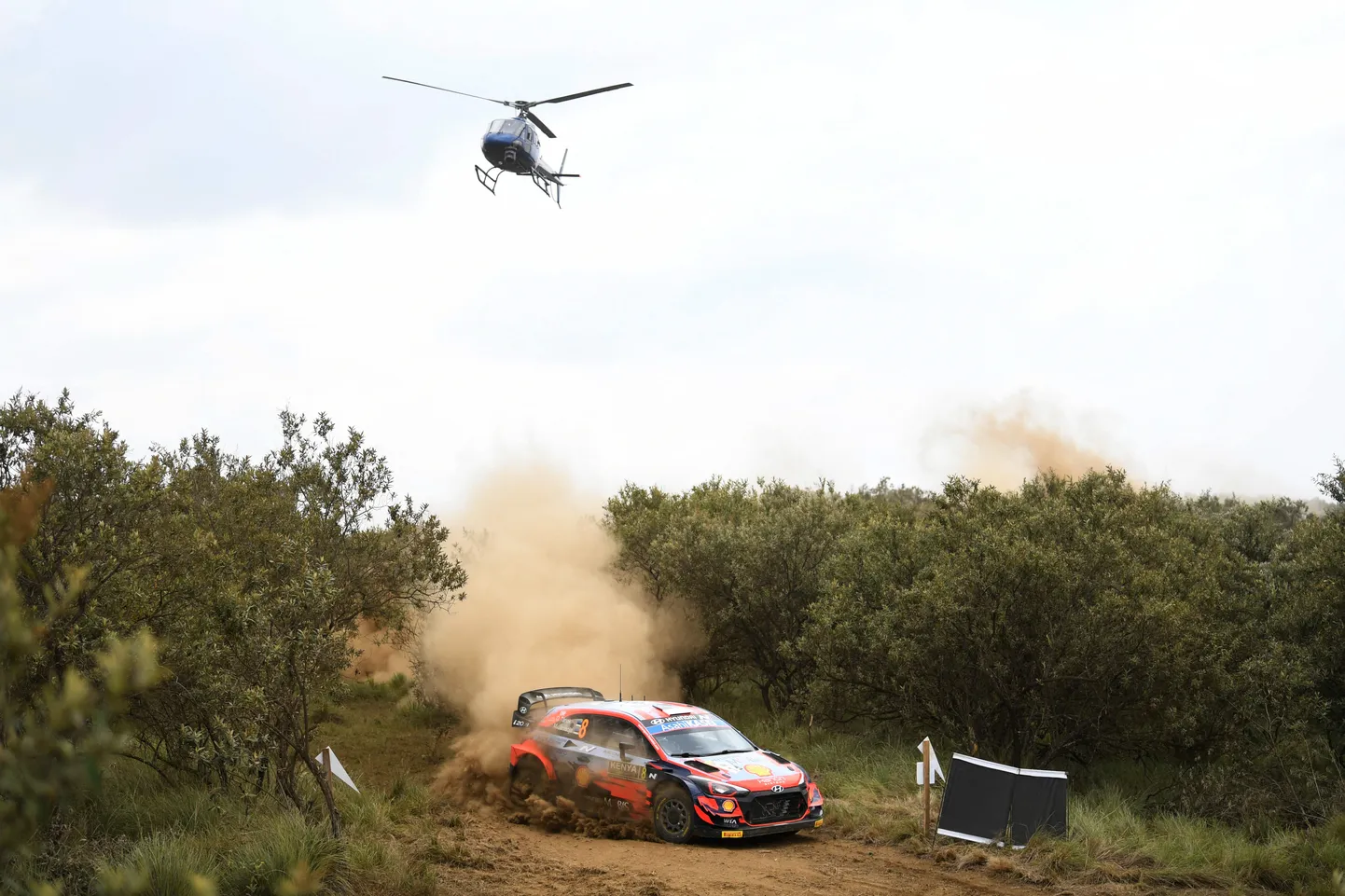 Ott Tänak Keenia MM-rallil.