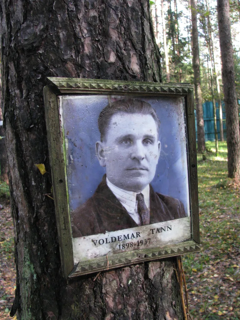 Kuna täpseid matmiskohti pole võimalik kindlaks teha, riputati hukkunute pildid ja mälestuskirjad lihtsalt puutüvedele.