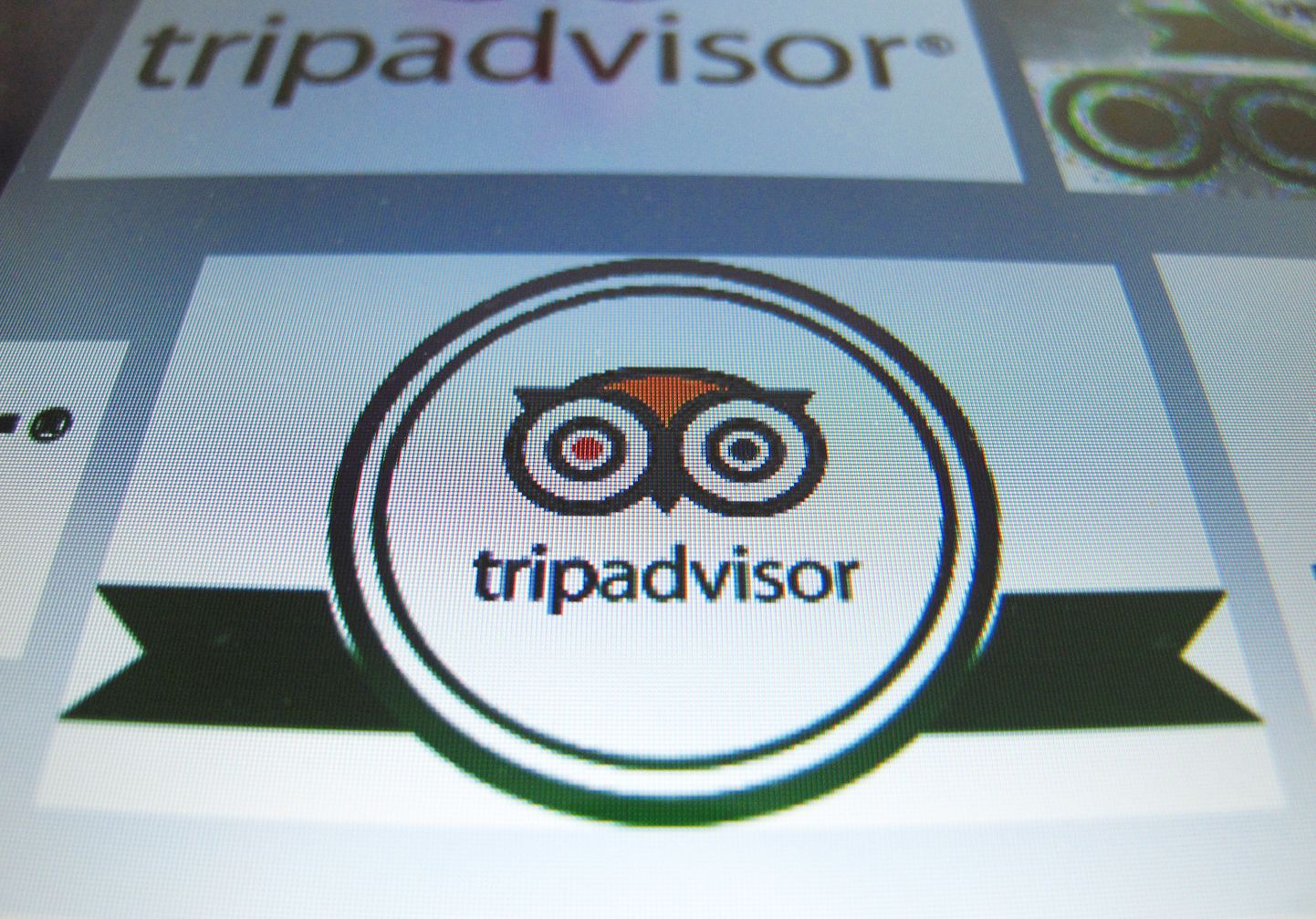 Логотип TripAdvisor.