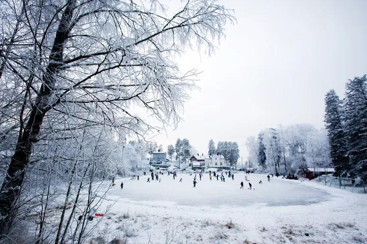 Ilmus Fredrik Backmani ülimenuka «Karulinna» triloogia viimane osa