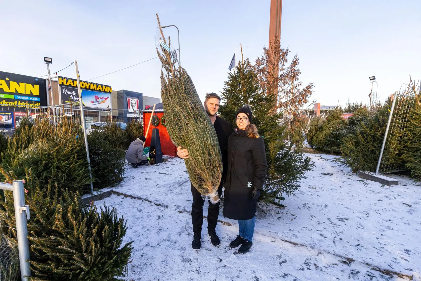 Elukaaslased Liisa-Lotta Pähn ja Kristo Peterson leidsid Lõunakeskuse kuuseplatsilt just paraja jõulupuu. Kuigi ise metsast kuuse toomisel on paari arvates oma võlu, kaalub müügipunkti mugavus selle üle.