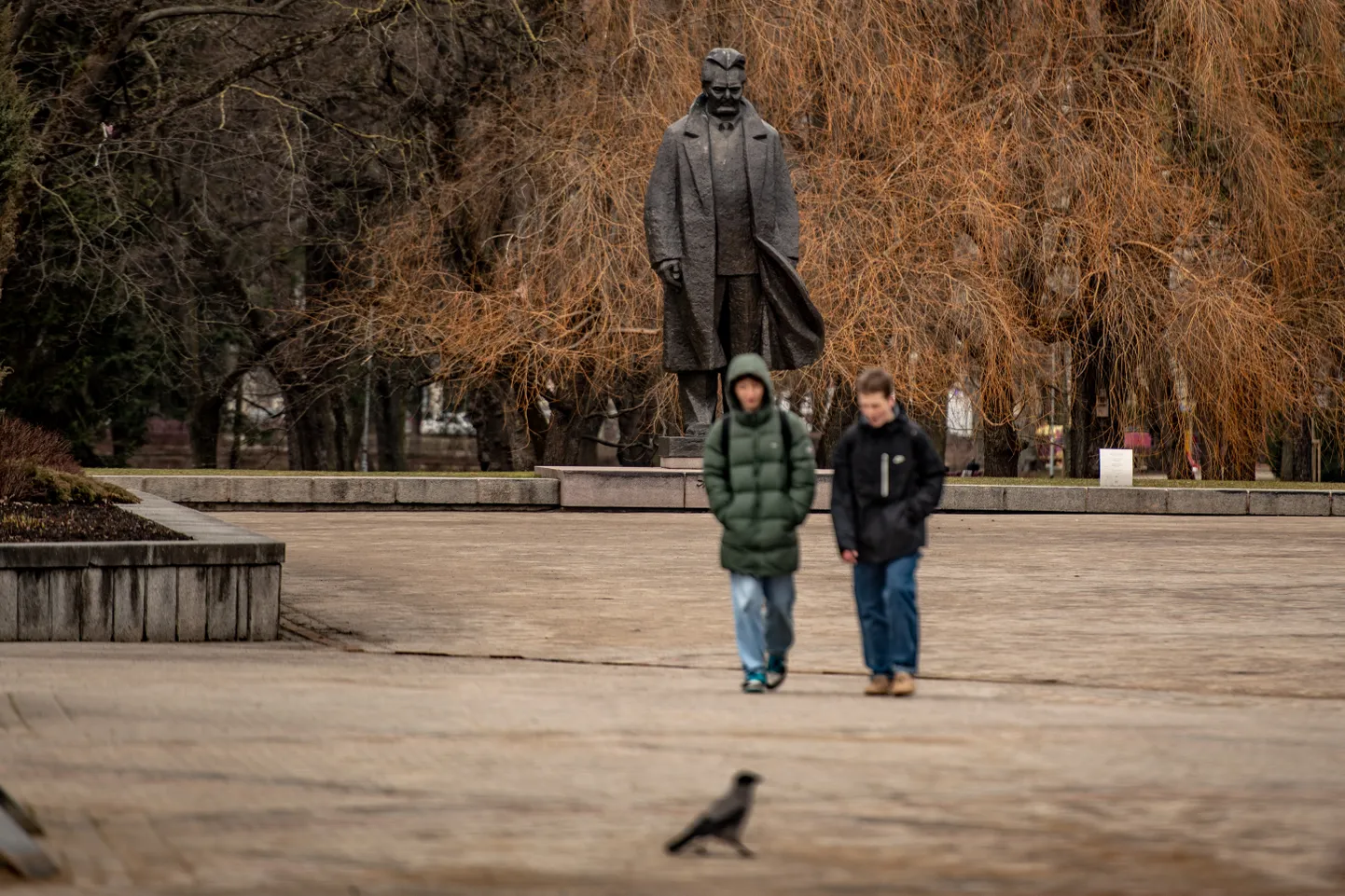 Первые бутоны, цветы и ростки в рижских парках