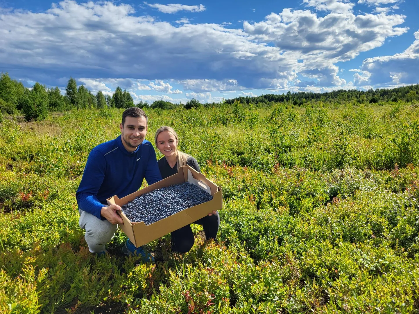 Ervita marjakasvatuse omanikud Jegor Mitrofanski ja Helen Soodla on pildil eelmisel aastal äsja korjatud mustikatega.