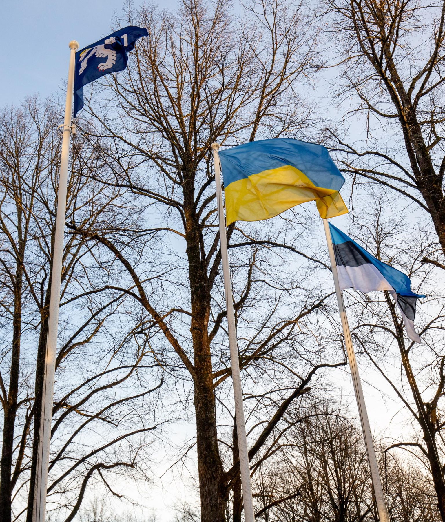 Eesti ja samuti Pärnumaa peavad suutma korraga nii siia jäävaid ukrainlasi lõimida kui tegelda nende tagasipöördumise toetamisega.