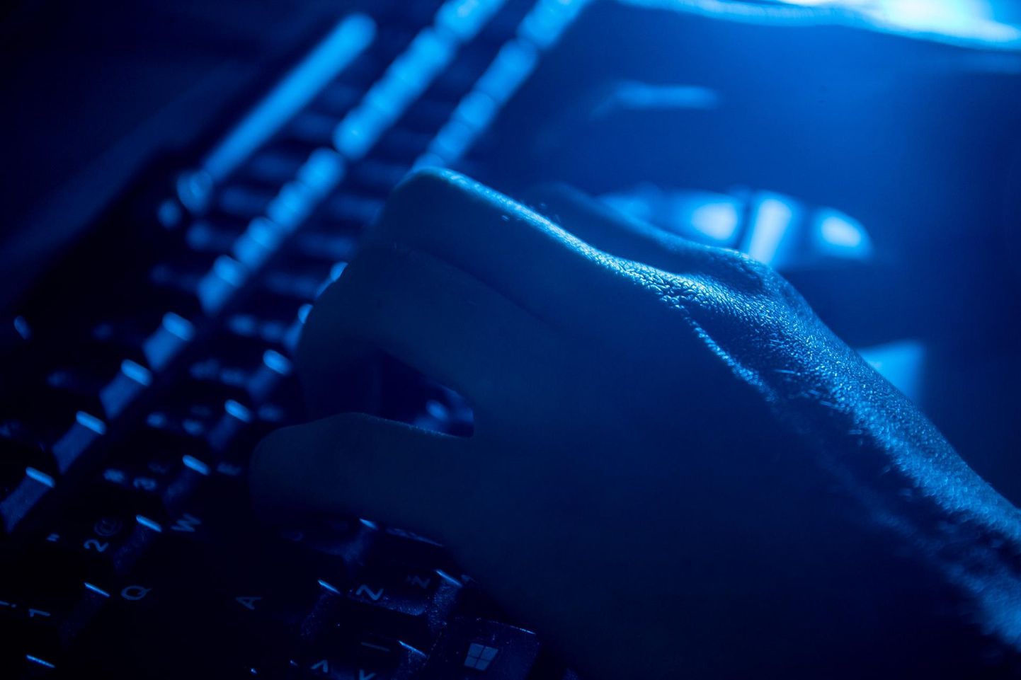 Küberrünnakute arv Eestis kasvab.